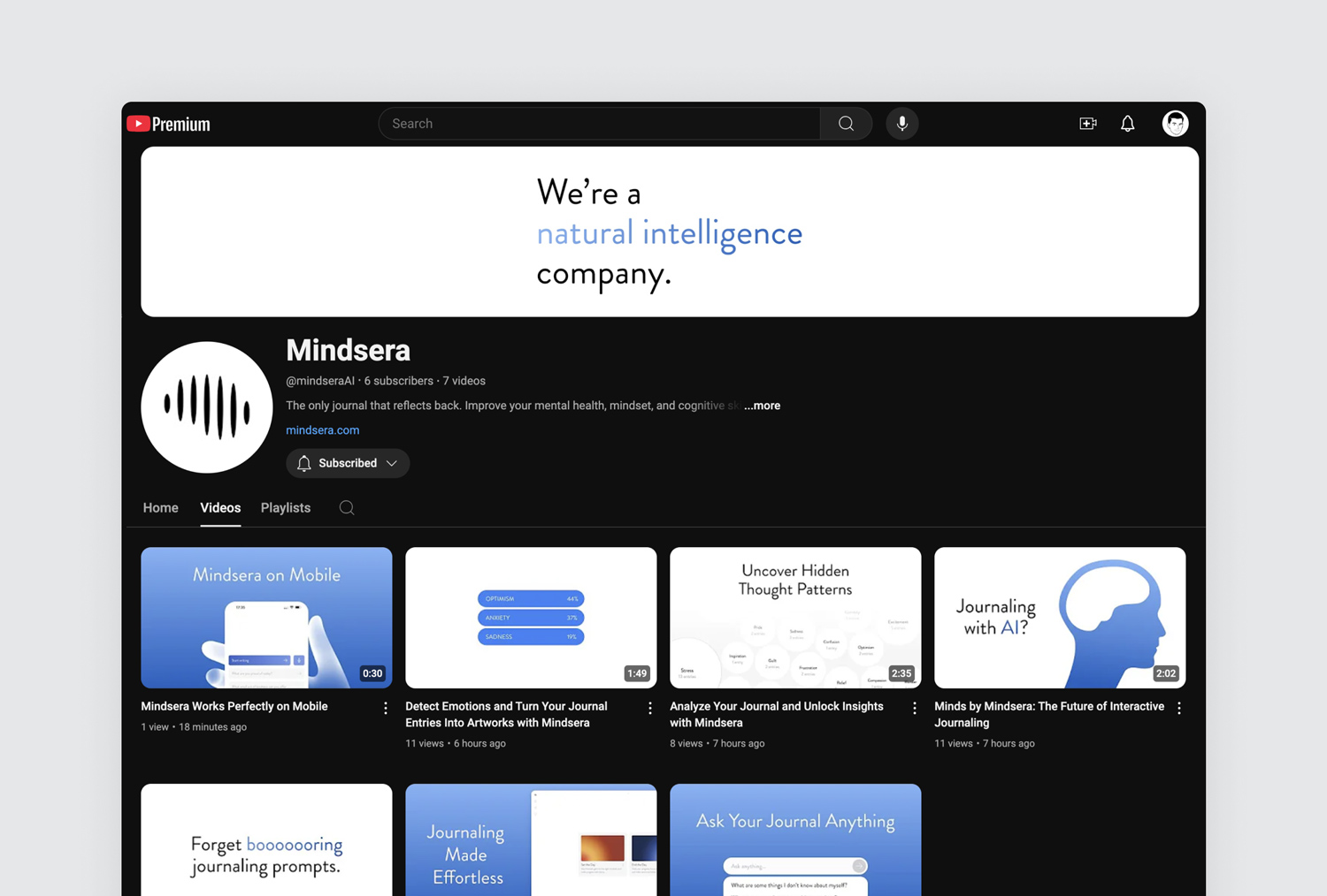 Video Walkthroughs of Mindsera
